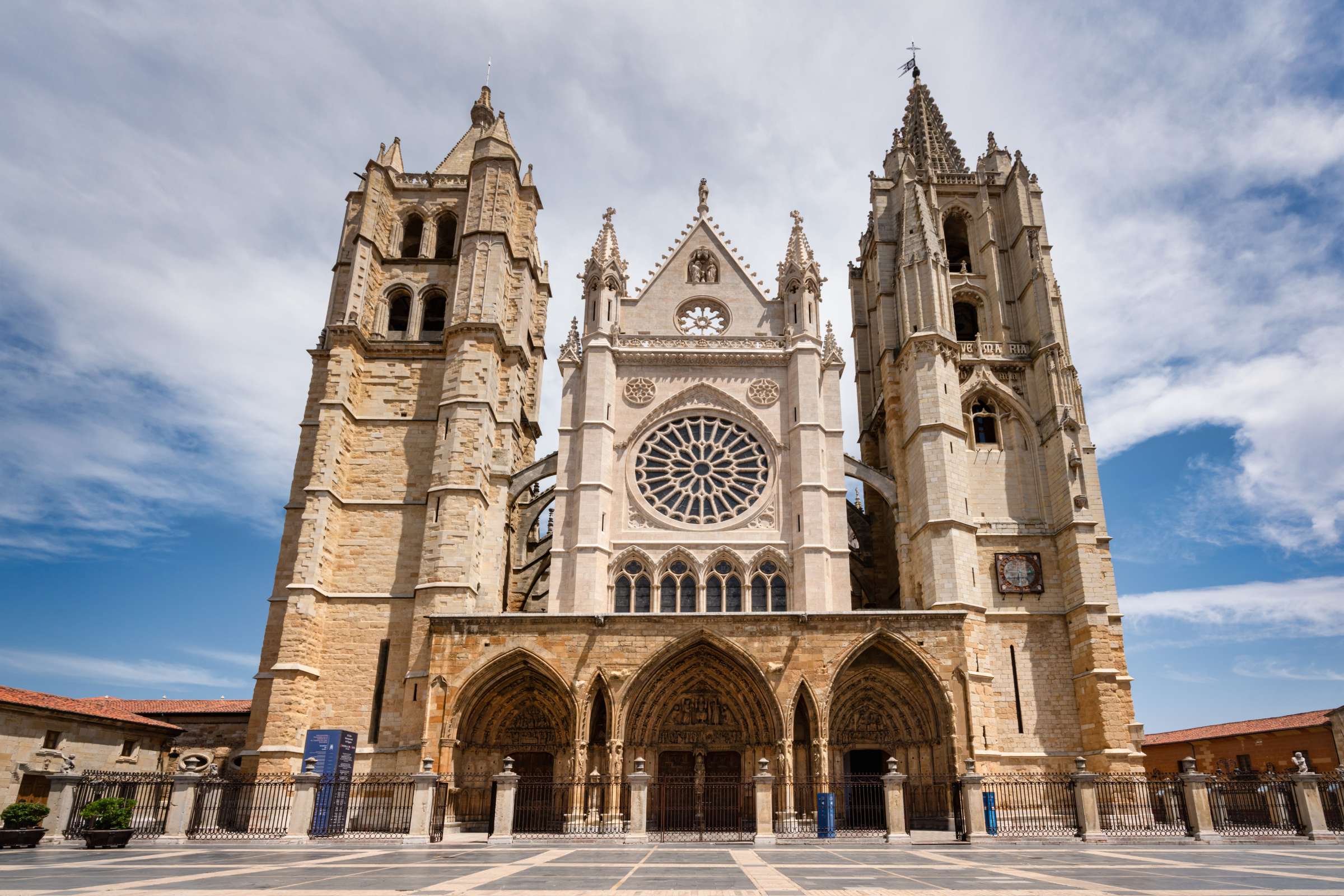 león (2).webp